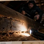 Termite bois charpente : traces et sciure dans une charpente en bois